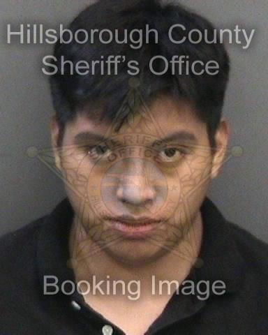 MANUEL HERNANDEZ-DIAZ  Info, Photos, Data, and More About MANUEL HERNANDEZ-DIAZ  / MANUEL HERNANDEZ-DIAZ  Tampa Area