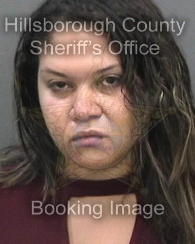 MARY ELIZABETH PETRONE  Info, Photos, Data, and More About MARY ELIZABETH PETRONE  / MARY ELIZABETH PETRONE  Tampa Area