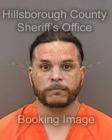 MILES HARRISON STEVES  Info, Photos, Data, and More About MILES HARRISON STEVES  / MILES HARRISON STEVES  Tampa Area