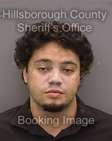 NOAH JORDAN MONTGOMERY  Info, Photos, Data, and More About NOAH JORDAN MONTGOMERY  / NOAH JORDAN MONTGOMERY  Tampa Area