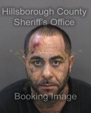 PABLO MELENDEZ  Info, Photos, Data, and More About PABLO MELENDEZ  / PABLO MELENDEZ  Tampa Area