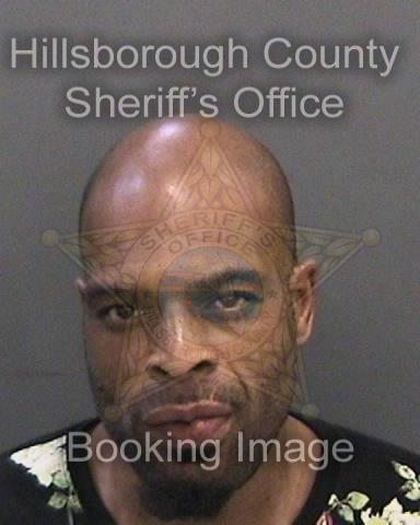 QUADEER ANWAR NELSON  Info, Photos, Data, and More About QUADEER ANWAR NELSON  / QUADEER ANWAR NELSON  Tampa Area