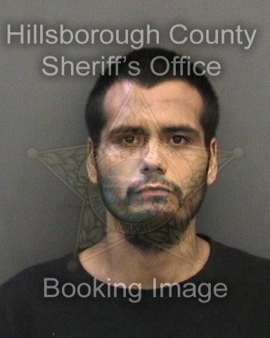 ROCKY MANUEL HART  Info, Photos, Data, and More About ROCKY MANUEL HART  / ROCKY MANUEL HART  Tampa Area