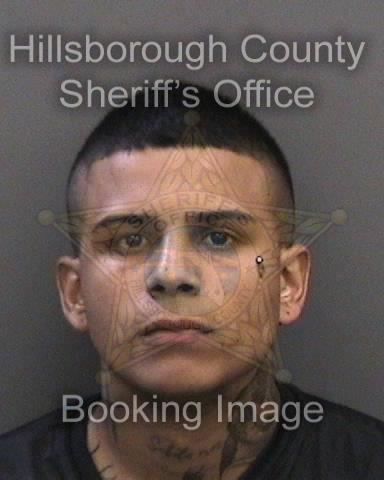 SEBASTIAN LEMOS ORTIZ  Info, Photos, Data, and More About SEBASTIAN LEMOS ORTIZ  / SEBASTIAN LEMOS ORTIZ  Tampa Area