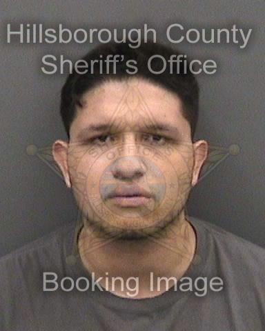 SEBASTIAN SUAREZ  Info, Photos, Data, and More About SEBASTIAN SUAREZ  / SEBASTIAN SUAREZ  Tampa Area