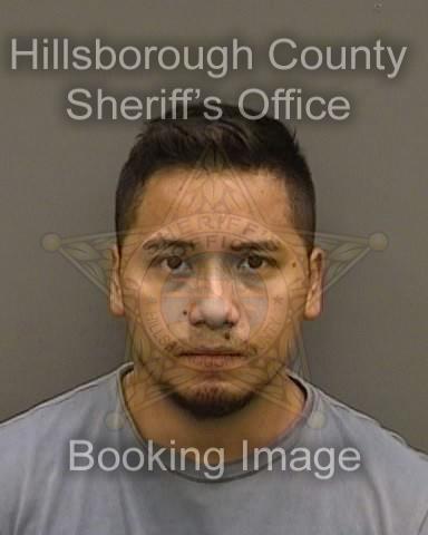 SERGIO ALEJANDRO SOLIS ESTRADA  Info, Photos, Data, and More About SERGIO ALEJANDRO SOLIS ESTRADA  / SERGIO ALEJANDRO SOLIS ESTRADA  Tampa Area