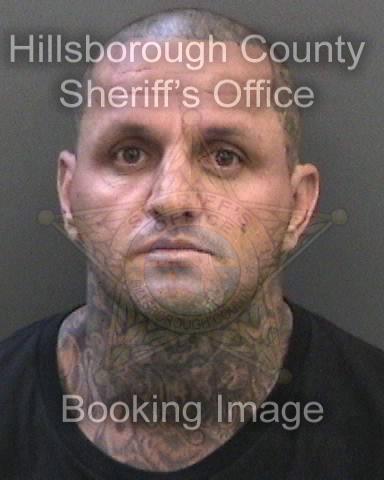 SHANE JOSHUA MCLAUGHLIN  Info, Photos, Data, and More About SHANE JOSHUA MCLAUGHLIN  / SHANE JOSHUA MCLAUGHLIN  Tampa Area