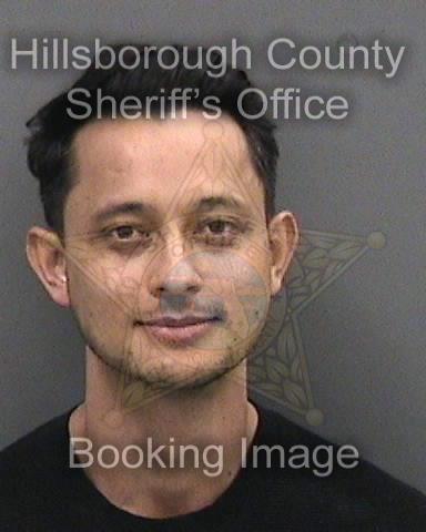 STERLING IRVIN MIKKELSON  Info, Photos, Data, and More About STERLING IRVIN MIKKELSON  / STERLING IRVIN MIKKELSON  Tampa Area