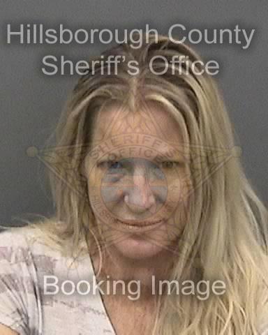 TARA ELIZABETH DIRIENZ  Info, Photos, Data, and More About TARA ELIZABETH DIRIENZ  / TARA ELIZABETH DIRIENZ  Tampa Area