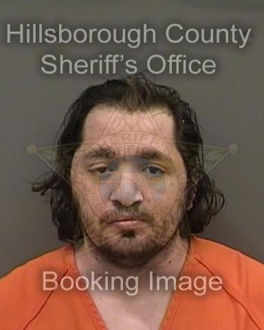 TIMOTHY GEORGOULIS  Info, Photos, Data, and More About TIMOTHY GEORGOULIS  / TIMOTHY GEORGOULIS  Tampa Area