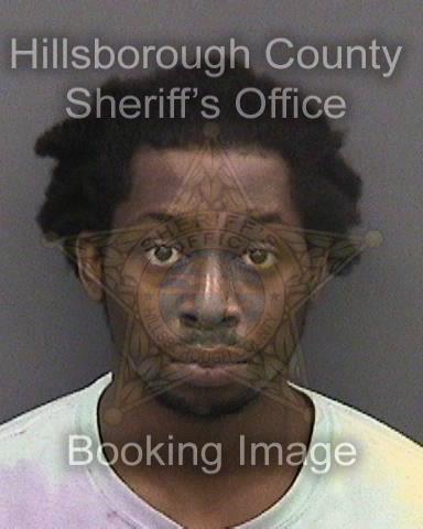 TREMAINE JONES MULLINGS  Info, Photos, Data, and More About TREMAINE JONES MULLINGS  / TREMAINE JONES MULLINGS  Tampa Area