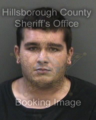 TYLER MICHAEL BRETT  Info, Photos, Data, and More About TYLER MICHAEL BRETT  / TYLER MICHAEL BRETT  Tampa Area