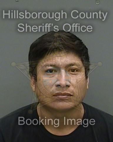 VINCENTE VAZQUEZ SANCHEZ  Info, Photos, Data, and More About VINCENTE VAZQUEZ SANCHEZ  / VINCENTE VAZQUEZ SANCHEZ  Tampa Area