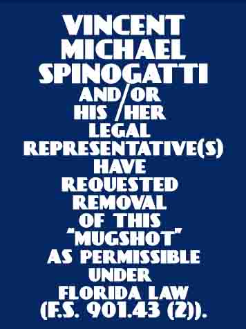 VINCENT MICHAEL SPINOGATTI  Info, Photos, Data, and More About VINCENT MICHAEL SPINOGATTI  / VINCENT MICHAEL SPINOGATTI  Tampa Area