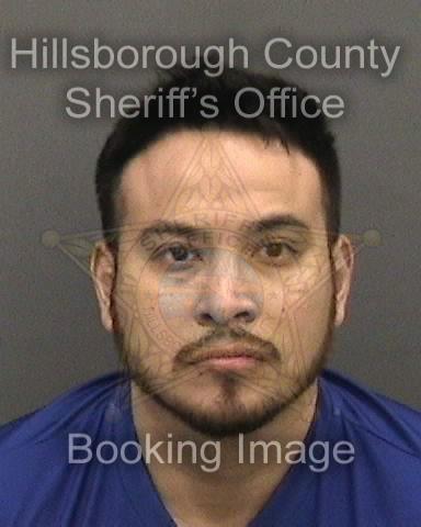 WELLINGTON RICARDO ECHEGARAY  Info, Photos, Data, and More About WELLINGTON RICARDO ECHEGARAY  / WELLINGTON RICARDO ECHEGARAY  Tampa Area