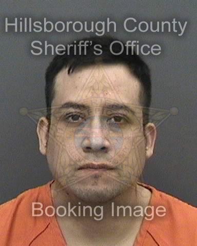 WILLIAMS AVILA TEPALE  Info, Photos, Data, and More About WILLIAMS AVILA TEPALE  / WILLIAMS AVILA TEPALE  Tampa Area