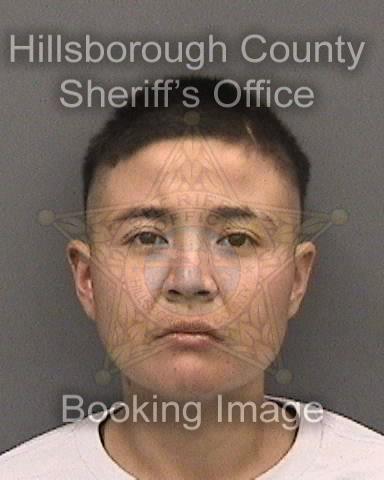 YESENIA BRITO  Info, Photos, Data, and More About YESENIA BRITO  / YESENIA BRITO  Tampa Area