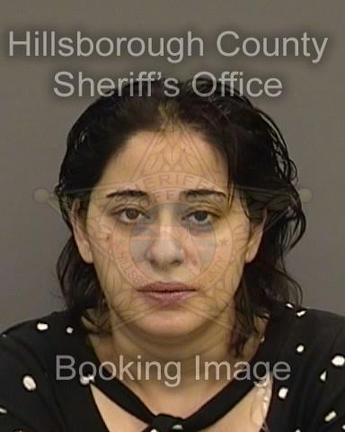 ANDREIA ANGHEL  Info, Photos, Data, and More About ANDREIA ANGHEL  / ANDREIA ANGHEL  Tampa Area
