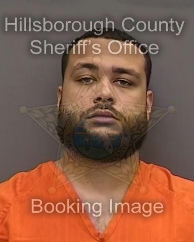 DAVID HARRELL  Info, Photos, Data, and More About DAVID HARRELL  / DAVID HARRELL  Tampa Area