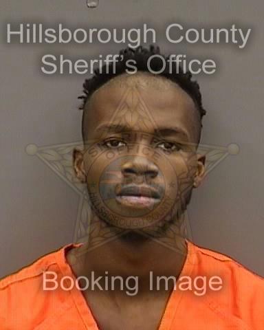 GERVAI STEWART MASON  Info, Photos, Data, and More About GERVAI STEWART MASON  / GERVAI STEWART MASON  Tampa Area