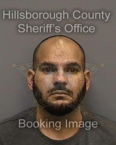 HARITH ARIFF WALLI  Info, Photos, Data, and More About HARITH ARIFF WALLI  / HARITH ARIFF WALLI  Tampa Area