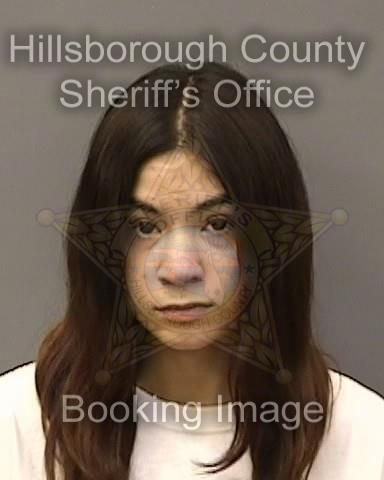 HAYDEN MARIETTA ORSI  Info, Photos, Data, and More About HAYDEN MARIETTA ORSI  / HAYDEN MARIETTA ORSI  Tampa Area