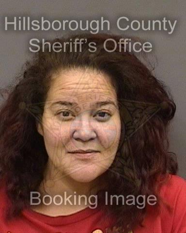 IVELISSE SAAVEDRA VERGARA  Info, Photos, Data, and More About IVELISSE SAAVEDRA VERGARA  / IVELISSE SAAVEDRA VERGARA  Tampa Area