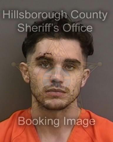 MARCELLO OLMEDA  Info, Photos, Data, and More About MARCELLO OLMEDA  / MARCELLO OLMEDA  Tampa Area