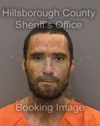 MARK LOUIS SEGRETTO  Info, Photos, Data, and More About MARK LOUIS SEGRETTO  / MARK LOUIS SEGRETTO  Tampa Area