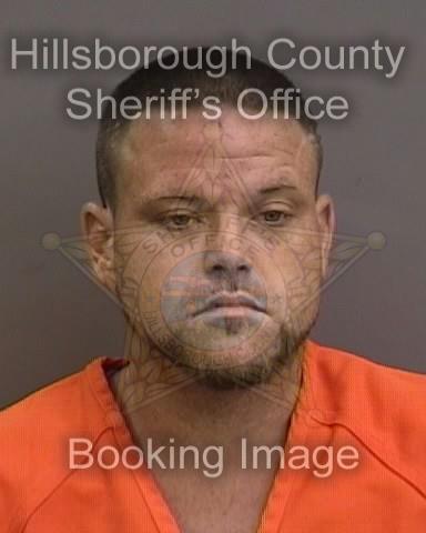 MICHAEL RYAN ELWELL  Info, Photos, Data, and More About MICHAEL RYAN ELWELL  / MICHAEL RYAN ELWELL  Tampa Area