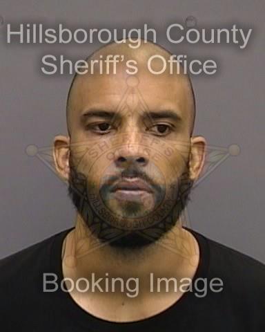 MISHAEL ELISHA WILSON  Info, Photos, Data, and More About MISHAEL ELISHA WILSON  / MISHAEL ELISHA WILSON  Tampa Area