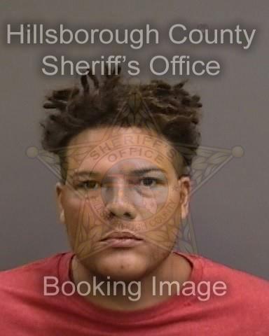STEPHEN MITCHELL  Info, Photos, Data, and More About STEPHEN MITCHELL  / STEPHEN MITCHELL  Tampa Area