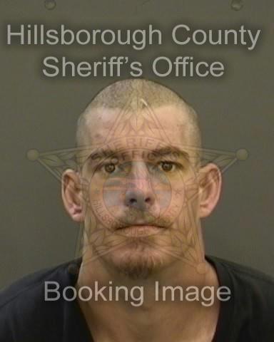TIMOTHY GOLOGRAM  Info, Photos, Data, and More About TIMOTHY GOLOGRAM  / TIMOTHY GOLOGRAM  Tampa Area