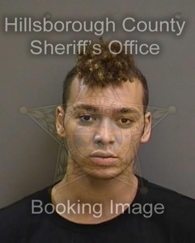 VINCENT TYRONE ELLIS  Info, Photos, Data, and More About VINCENT TYRONE ELLIS  / VINCENT TYRONE ELLIS  Tampa Area