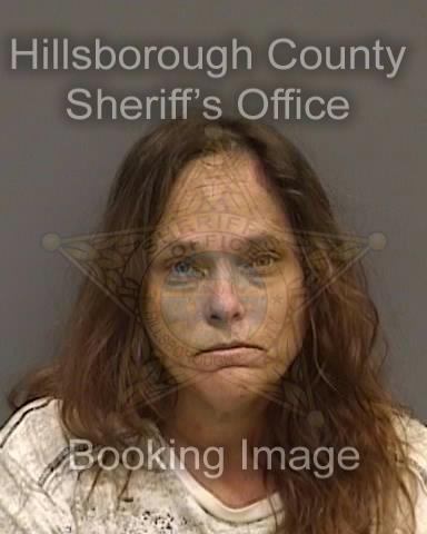 WENDY LYNN GALLAHUE  Info, Photos, Data, and More About WENDY LYNN GALLAHUE  / WENDY LYNN GALLAHUE  Tampa Area