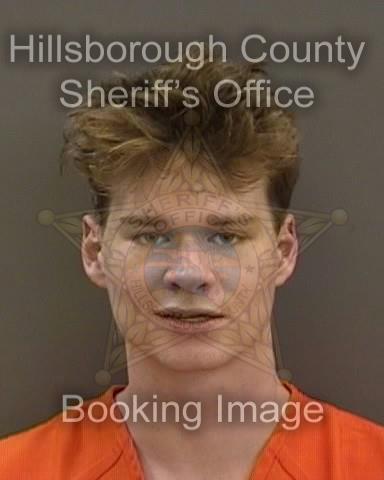 WILLIAM PAUL MCELROY  Info, Photos, Data, and More About WILLIAM PAUL MCELROY  / WILLIAM PAUL MCELROY  Tampa Area