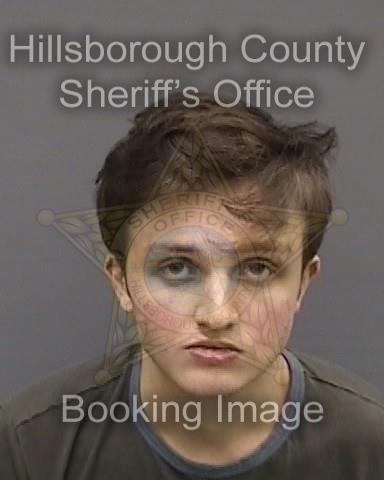 ADAM MICHAEL STECH  Info, Photos, Data, and More About ADAM MICHAEL STECH  / ADAM MICHAEL STECH  Tampa Area