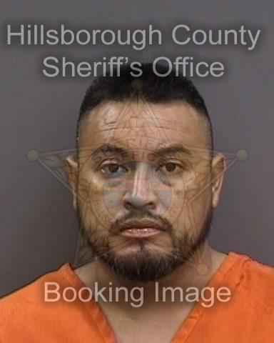 CARLOS DOMINGUEZ CASAREZ  Info, Photos, Data, and More About CARLOS DOMINGUEZ CASAREZ  / CARLOS DOMINGUEZ CASAREZ  Tampa Area