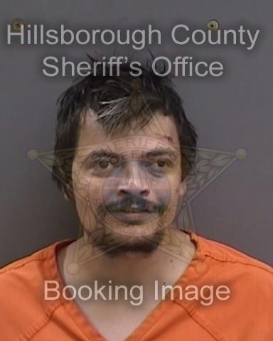 COLBY CLAY SCHALLER  Info, Photos, Data, and More About COLBY CLAY SCHALLER  / COLBY CLAY SCHALLER  Tampa Area