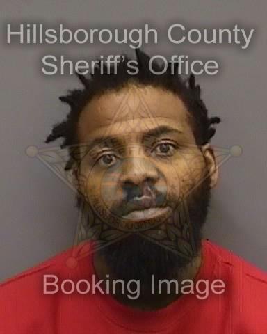 DEVARAYE JAVARIS MUNGIN  Info, Photos, Data, and More About DEVARAYE JAVARIS MUNGIN  / DEVARAYE JAVARIS MUNGIN  Tampa Area