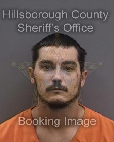 DYLAN DAVID SNOW-GLEATON  Info, Photos, Data, and More About DYLAN DAVID SNOW-GLEATON  / DYLAN DAVID SNOW-GLEATON  Tampa Area