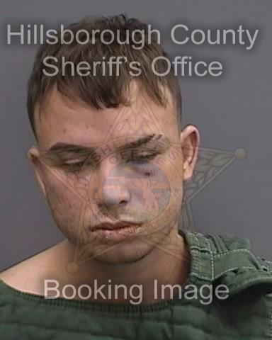 DYLAN EDWARD LEE  Info, Photos, Data, and More About DYLAN EDWARD LEE  / DYLAN EDWARD LEE  Tampa Area