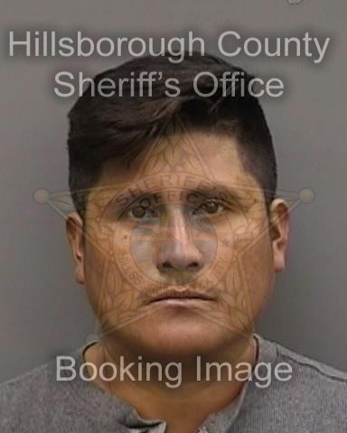 ERICEL PINTO QUIROZ  Info, Photos, Data, and More About ERICEL PINTO QUIROZ  / ERICEL PINTO QUIROZ  Tampa Area
