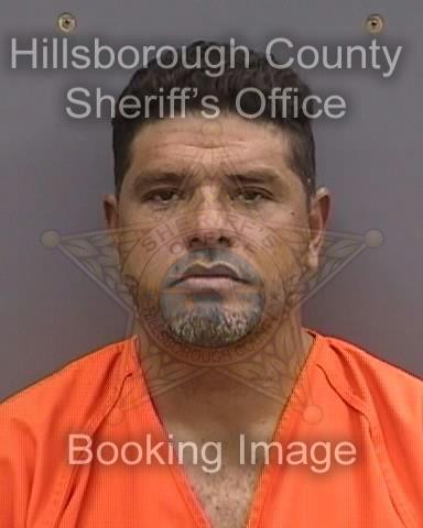 FERNANDO AGUIRRE SEGNINI  Info, Photos, Data, and More About FERNANDO AGUIRRE SEGNINI  / FERNANDO AGUIRRE SEGNINI  Tampa Area