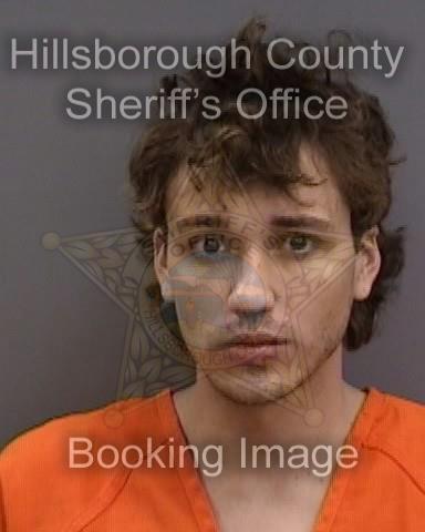 GRIFFEN ANDREW RICHTER  Info, Photos, Data, and More About GRIFFEN ANDREW RICHTER  / GRIFFEN ANDREW RICHTER  Tampa Area