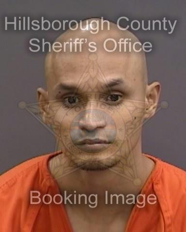 JAMES NGUYEN  Info, Photos, Data, and More About JAMES NGUYEN  / JAMES NGUYEN  Tampa Area