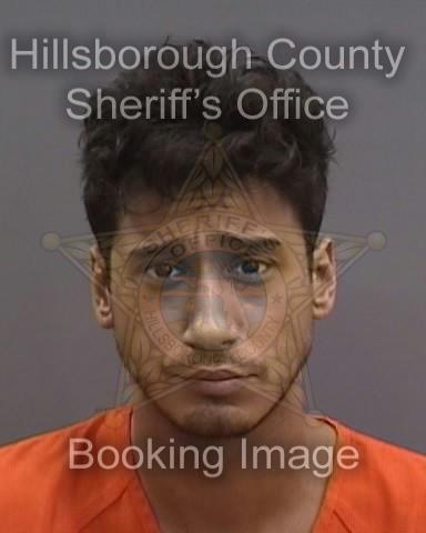 JOEY NIKO EVANS  Info, Photos, Data, and More About JOEY NIKO EVANS  / JOEY NIKO EVANS  Tampa Area