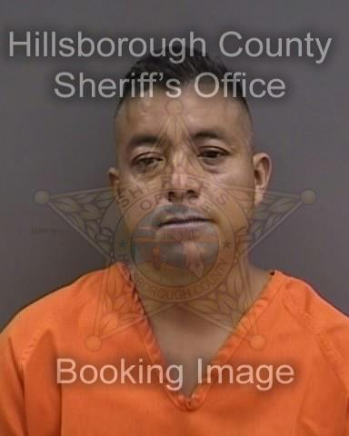 JULIO BARRERA PEREZ  Info, Photos, Data, and More About JULIO BARRERA PEREZ  / JULIO BARRERA PEREZ  Tampa Area