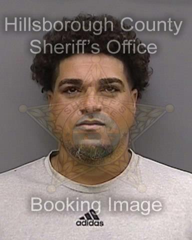 LAURYN ODALIS HERNANDEZ QUINONES  Info, Photos, Data, and More About LAURYN ODALIS HERNANDEZ QUINONES  / LAURYN ODALIS HERNANDEZ QUINONES  Tampa Area