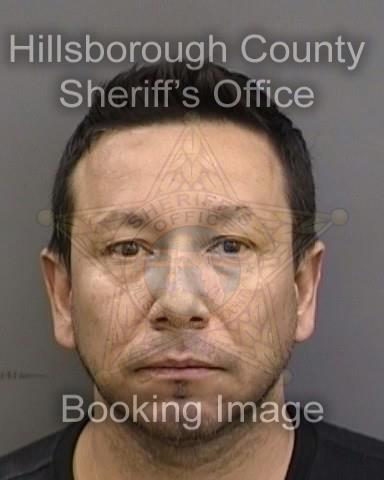 MAURICIO ANDRES ESCOBAR CORREA  Info, Photos, Data, and More About MAURICIO ANDRES ESCOBAR CORREA  / MAURICIO ANDRES ESCOBAR CORREA  Tampa Area